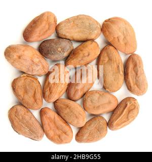 Raw cocoa beans in square shape isolated top view Stock Photo