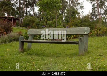 rustic empty bench in the middle of grass, beautiful park with trees and nature in the day, lifestyle and outdoor decoration, old seat Stock Photo