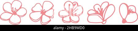 Vector set silhouettes of five hand drawn pink magnolia flowers isolated on white background. Vector illustration. Flowers spring doodle, sketch illustrations Stock Vector