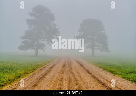 Foggy Drive in Custer State Park near Custer, South Dakota Stock Photo