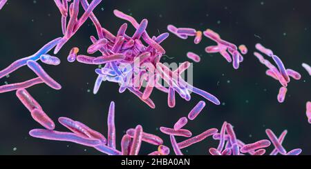 Erysipelothrix bacteria, computer illustration. A species of pleomorphic rod-shaped bacteria causing the skin disease erysipeloid, particularly in individuals working with fish and animal products. Stock Photo