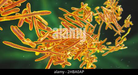 Erysipelothrix bacteria, computer illustration. A species of pleomorphic rod-shaped bacteria causing the skin disease erysipeloid, particularly in individuals working with fish and animal products. Stock Photo
