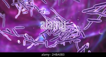 Erysipelothrix bacteria, computer illustration. A species of pleomorphic rod-shaped bacteria causing the skin disease erysipeloid, particularly in individuals working with fish and animal products. Stock Photo