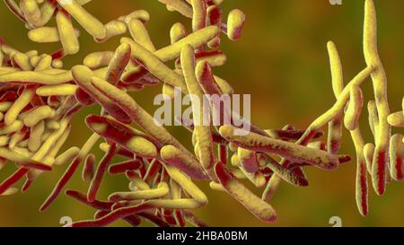 Erysipelothrix bacteria, computer illustration. A species of pleomorphic rod-shaped bacteria causing the skin disease erysipeloid, particularly in individuals working with fish and animal products. Stock Photo