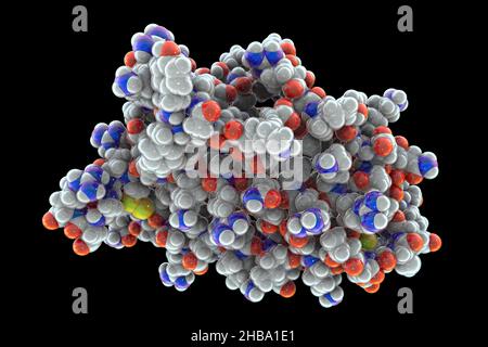 Erythropoietin (human EPO, epoetin) hormone. EPO stimulates the production of red blood cells. It is used as a medicine and in sports doping. Stock Photo