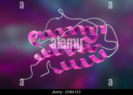 Erythropoietin (human EPO, epoetin) hormone. EPO stimulates the production of red blood cells. It is used as a medicine and in sports doping. Stock Photo