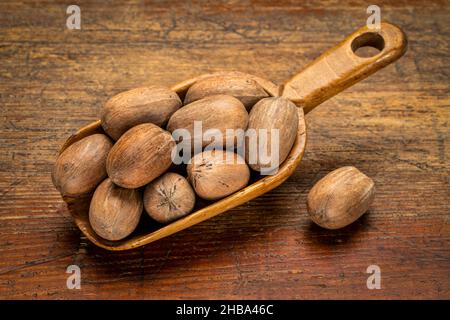rustic scoop of pecan nuts (in shells) against grunge wood table Stock Photo