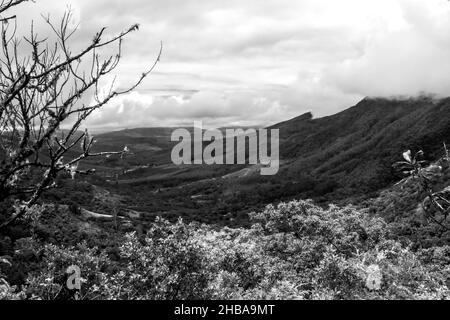 Black and white view of the forested slopes and fog shrouded peaks of the Wolkberg Mountains at Magoebaskloof, South Africa Stock Photo