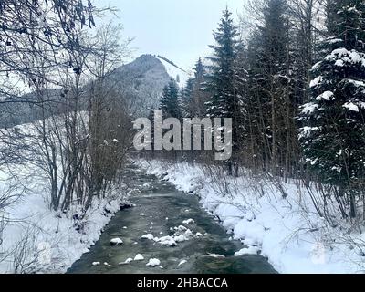 Mountain brook in winter. The banks are under snow. In stream there is layer of ice on some places. The stones in the stream are covered with snow too Stock Photo