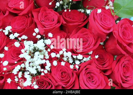 most beautiful bouquet of roses