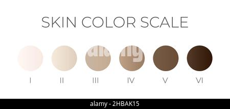 Skin Color Scale with Gradient Swatches Stock Vector