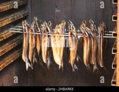 A Row of Kippers Cooking in a Smoking Cabinet. Stock Photo