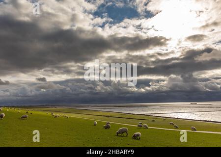 Dramatischer Himmel am Holmersiel Stock Photo