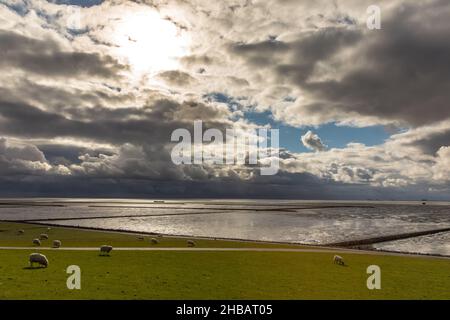 Dramatischer Himmel am Holmersiel Stock Photo