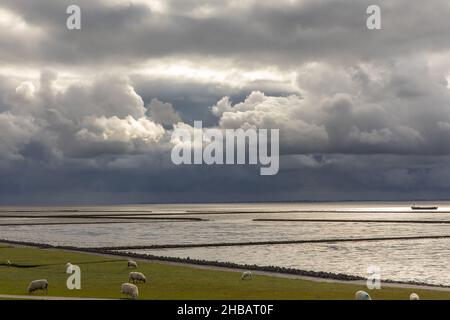 Dramatischer Himmel am Holmersiel Stock Photo