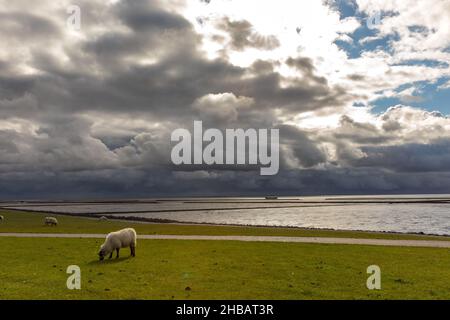 Dramatischer Himmel am Holmersiel Stock Photo