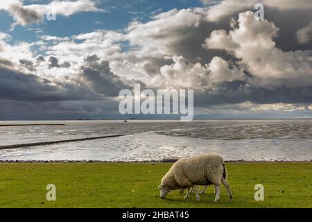 Dramatischer Himmel am Holmersiel Stock Photo