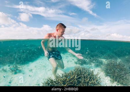 Man admiring corals under water surface. Tourist watching beautiful sea life in Maldives.