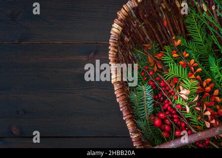 Selection of winter branches in wicker basket on dark brown rustic wooden background. Evergreen fir and yew branches with rose hips. Winter background. Stock Photo