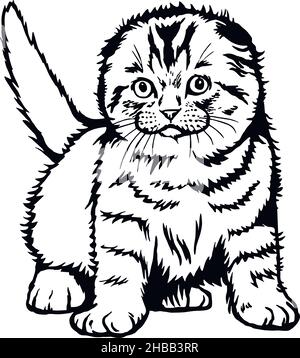Cat, Peeking kitten - Cheerful kitty isolated on white - vector stock illustration Stock Vector