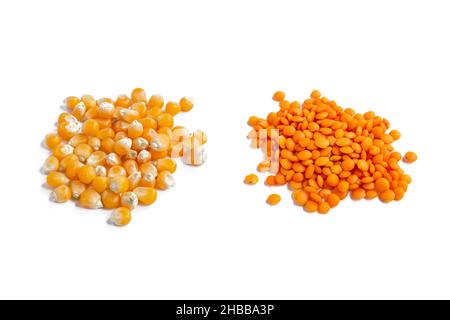 Corn kernels and red lentil grains isolated on white background. Set of corn and lentil grains close up. Stock Photo