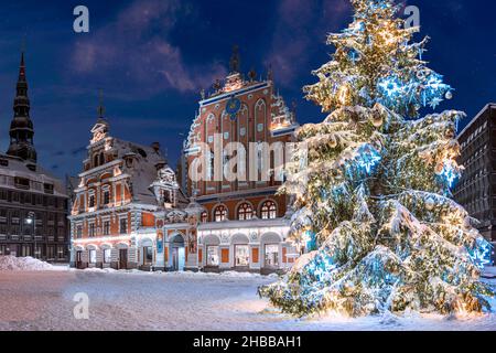 Illuminated Christmas tree at night. Town Hall square with House of the Blackheads and Christmas tree in winter, old town Riga, Latvia. Christmas post Stock Photo