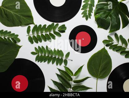 Retro style background of many vinyl records with green leaves on white paper. Top view Stock Photo