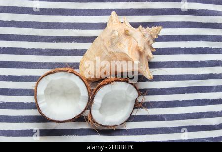 Two halves of chopped coconut and seashell on striped background Stock Photo