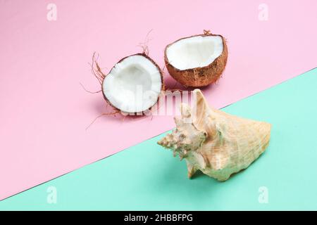 Two halves of chopped coconut and seashell on blue pink pastel background Stock Photo