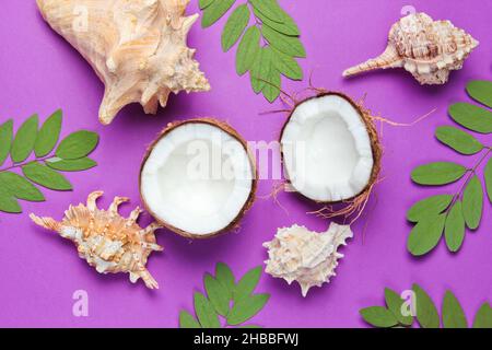 Two halves of chopped coconut on purple background with green leaves and seashell Stock Photo