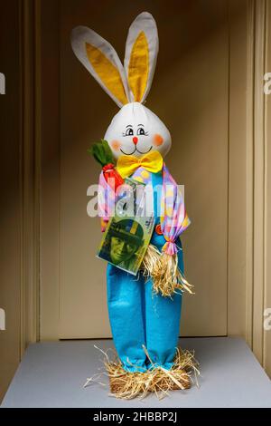 Stuffed happy rabbit holding a fifty Swiss Francs banknote, Stock Photo