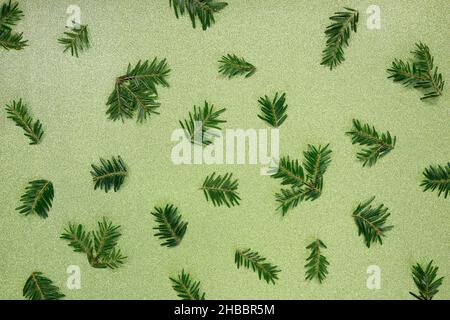 Christmas pattern, winter background. Pine twigs on green, glitter background. Stock Photo