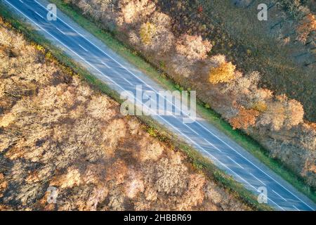 Aerial view of empty intercity road between autumn woods at sunset. Top view from drone of highway in evening. Stock Photo