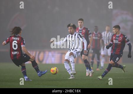 Bologna, Italy, 18th December 2021. Nicolas Dominguez of Bologna FC looks on as Weston McKennie of Juventus challenges Arthur Theate of Bologna FC during the Serie A match at Renato Dall'Ara, Bologna. Picture credit should read: Jonathan Moscrop / Sportimage Stock Photo