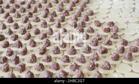 Close up for woman hands in gloves putting balls of forcemeat on flat circles of dough. Modeling of dumplings at the factory. Stock Photo