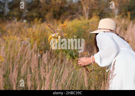 A woman in a hat bending down to pick herbs in a meadow. Dressed in a white dress, a herbalist.