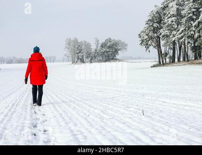 Sieversdorf, Germany. 12th Dec, 2021. A woman walks across a wintry snow-covered field at the edge of a forest. Credit: Patrick Pleul/dpa-Zentralbild/ZB/dpa/17�Թ����� Live News Stock Photo