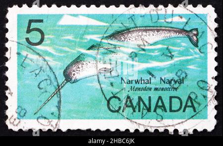 CANADA - CIRCA 1967: a stamp printed in the Canada shows Male Narwhal, Monodon Monoceros, Whale, circa 1967 Stock Photo