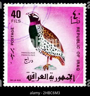 IRAQ - CIRCA 1968: a stamp printed in the Iraq shows Black Francolin, Black Partridge, Francolinus Francolinus, Gamebird, circa 1968 Stock Photo