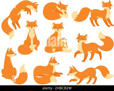 Set of cute red foxes in different poses. Cartoon flat animals isolated on  white background. Vector illustration Stock Vector Image & Art - Alamy