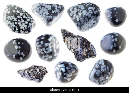 set of various snowflake obsidian stones cutout on white background Stock Photo
