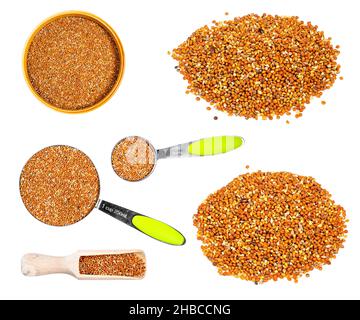 set of chumiza siberian millet seeds cutout on white background Stock Photo