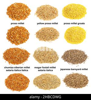 set of piles of variuos millet grains with names cutout on white background Stock Photo