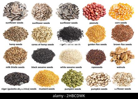 set of piles of variuos oil seeds with names cutout on white background Stock Photo