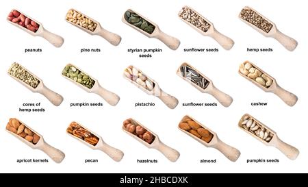 set of wooden scoops with various nut with names cutout on white background Stock Photo