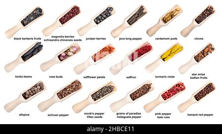 set of wooden scoops with various spices with names cutout on white background Stock Photo