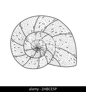 Hand drawn spiral seashell in doodle style. Isolated on white vector illustration Stock Vector