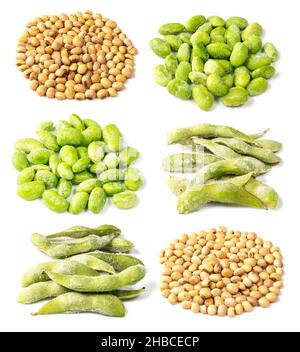 set of piles of soy beans cutout on white background Stock Photo
