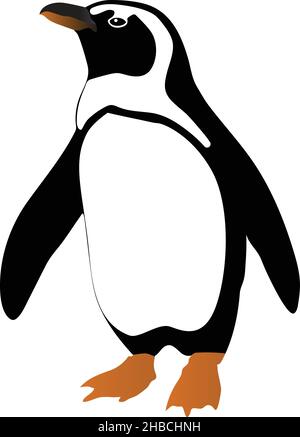 Penguin color vector illustration isolated Stock Vector