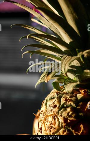 Tropical fruits in the basket ready to serve Stock Photo